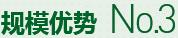 購(gòu)買(mǎi)蔬菜種子，鼎牌優(yōu)勢(shì)三