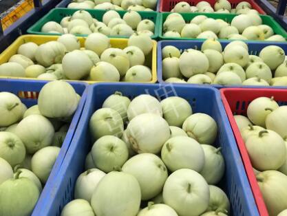 蔬菜種子種植戶客戶點評-5元1斤，這個新品種真香甜！
