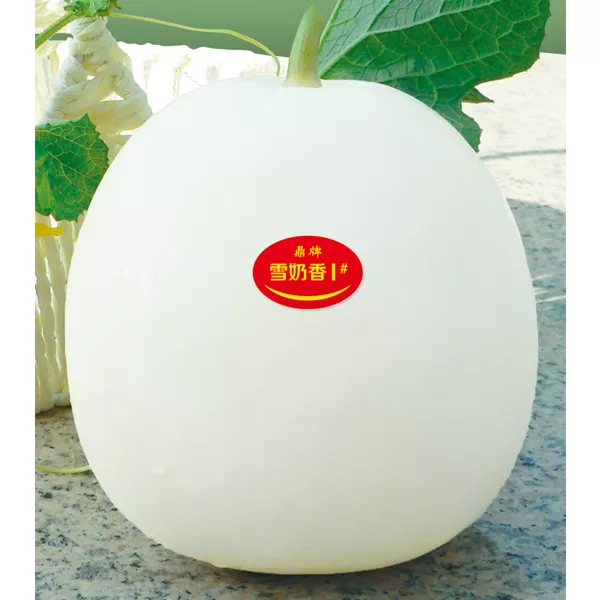 薄皮甜瓜，哪個品種最好呢？畝產(chǎn)高達(dá)10萬，附4種市場爆款品種