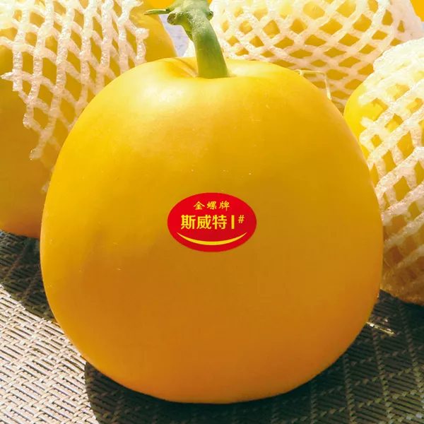 薄皮甜瓜，哪個品種最好呢？畝產(chǎn)高達(dá)10萬，附4種市場爆款品種