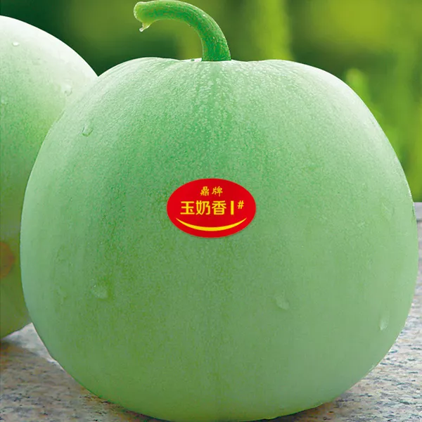薄皮甜瓜，哪個品種最好呢？畝產(chǎn)高達(dá)10萬，附4種市場爆款品種