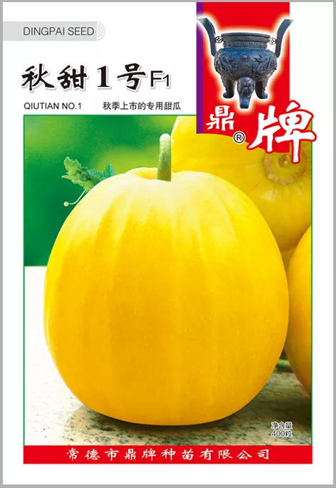 高溫季節(jié)種植甜瓜，什么品種最好？這個(gè)品種是秋季上市的專用品種