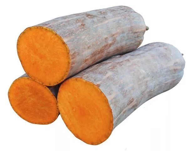 生吃都好吃南瓜新品種，沒有大肚子，肉質(zhì)更密致，農(nóng)戶試種下