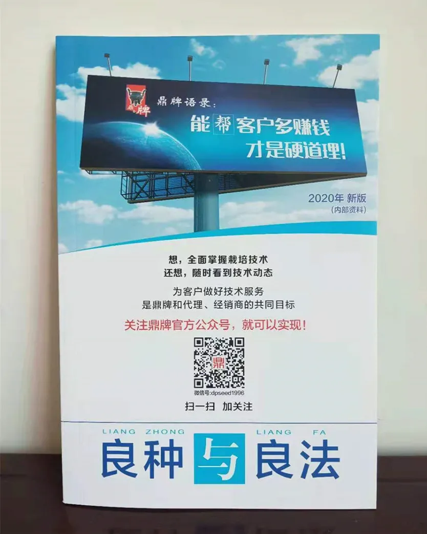 河南焦作的李向林今年種植甜瓜新品種，客戶直接拉貨走人