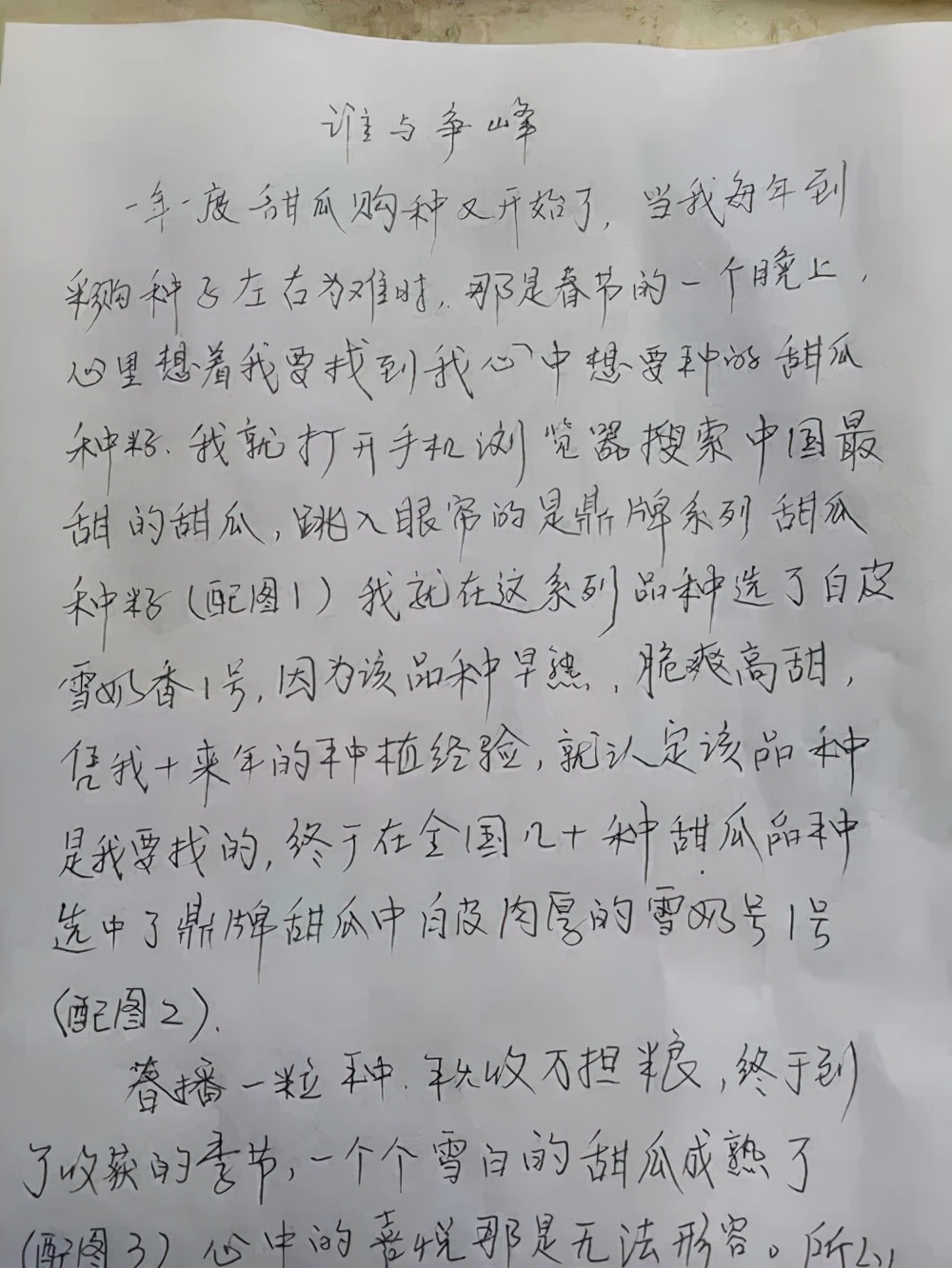 河南焦作的李向林今年種植甜瓜新品種，客戶直接拉貨走人
