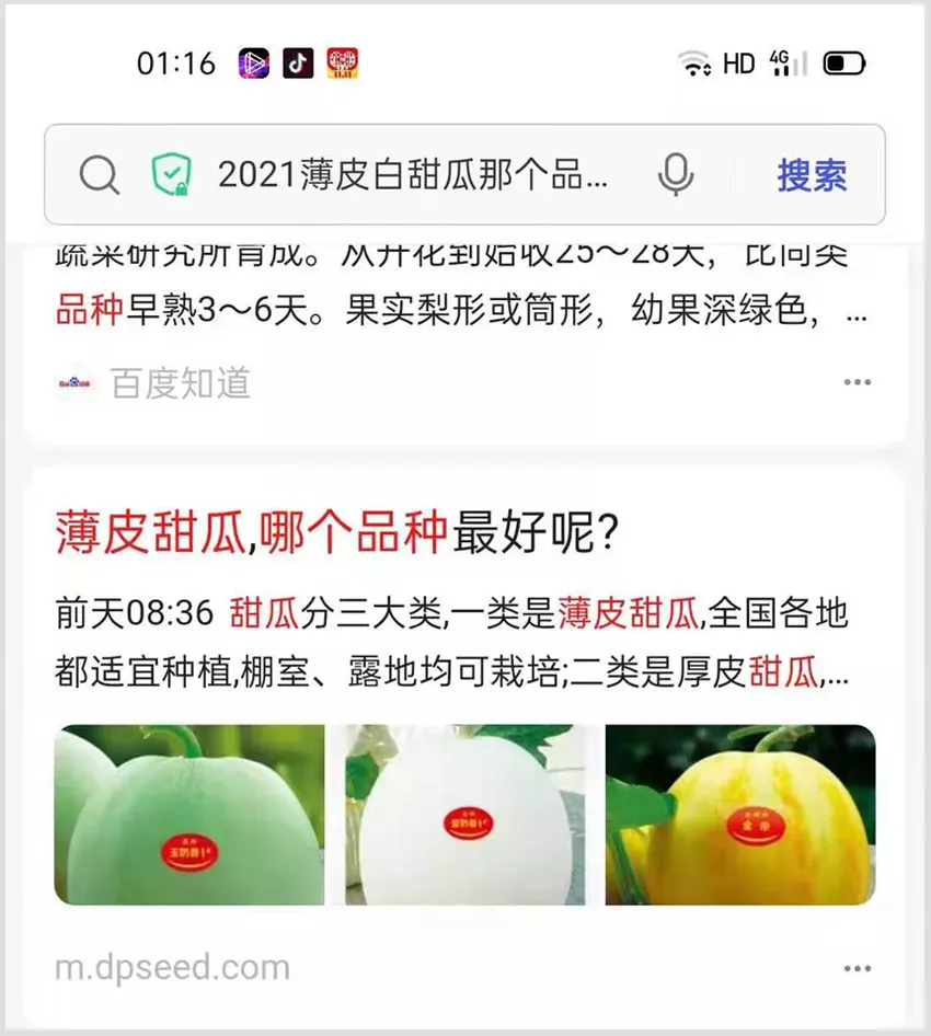 河南焦作的李向林今年種植甜瓜新品種，客戶直接拉貨走人
