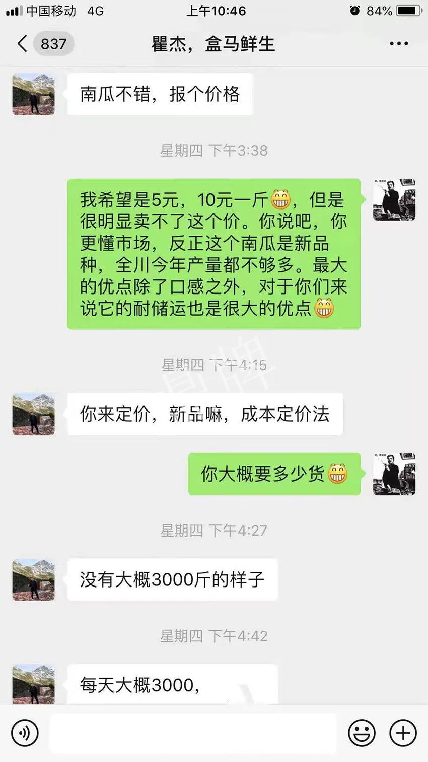 四川農(nóng)戶今年種“健美蜜本”南瓜產(chǎn)量高，品質(zhì)好，感覺巴適得很