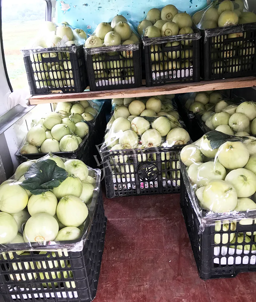 郴州農(nóng)戶種植新品種，果實又香又甜，很好賣