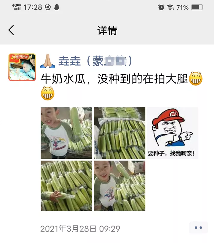 這個(gè)絲瓜每畝能掙3萬，沒種植的農(nóng)戶后悔得拍大腿